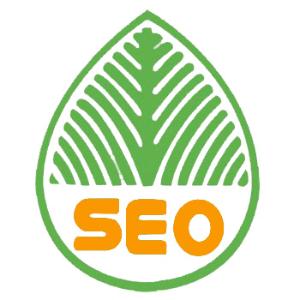 肥城提升网站移动适配的注意事项